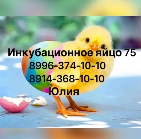 Продажа детской коляски в Чите - Коляски в Чита