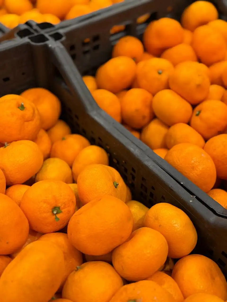 Мандарины из Абхазии по выгодной цене - Продукты (Барахолка) в Чита