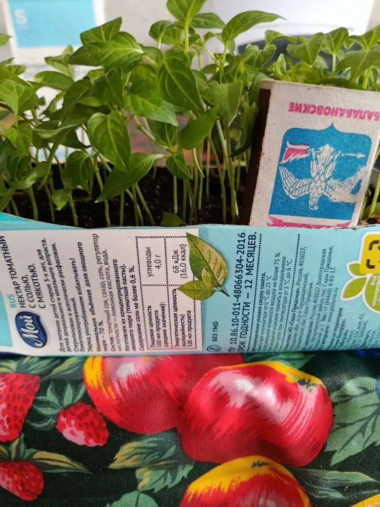 Продажа рассады сладкого перца разных сортов - Растения/Садоводство (Хобби и отдых) в Чита