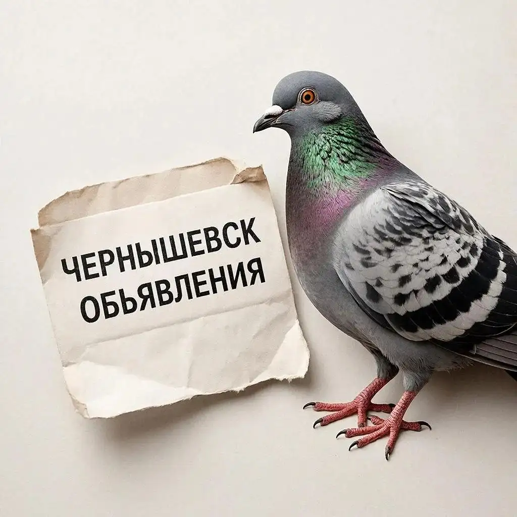 Объявления Чернышевска - Барахолка в Чернышевск