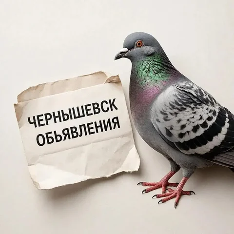 Объявления Чернышевска - частное объявление в Чернышевск