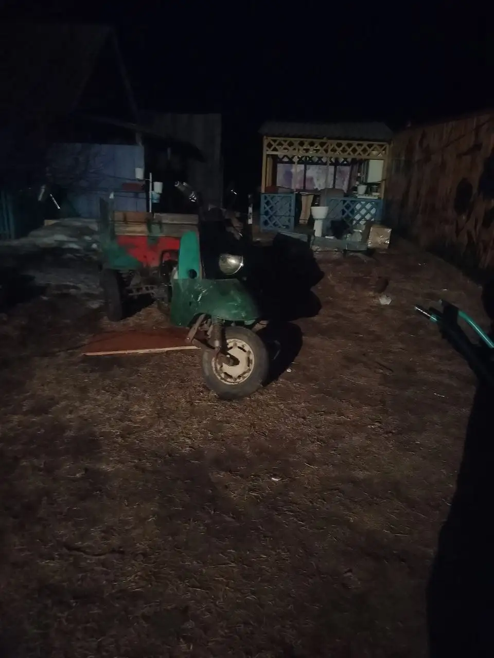 Продам муравей - Барахолка в Чита