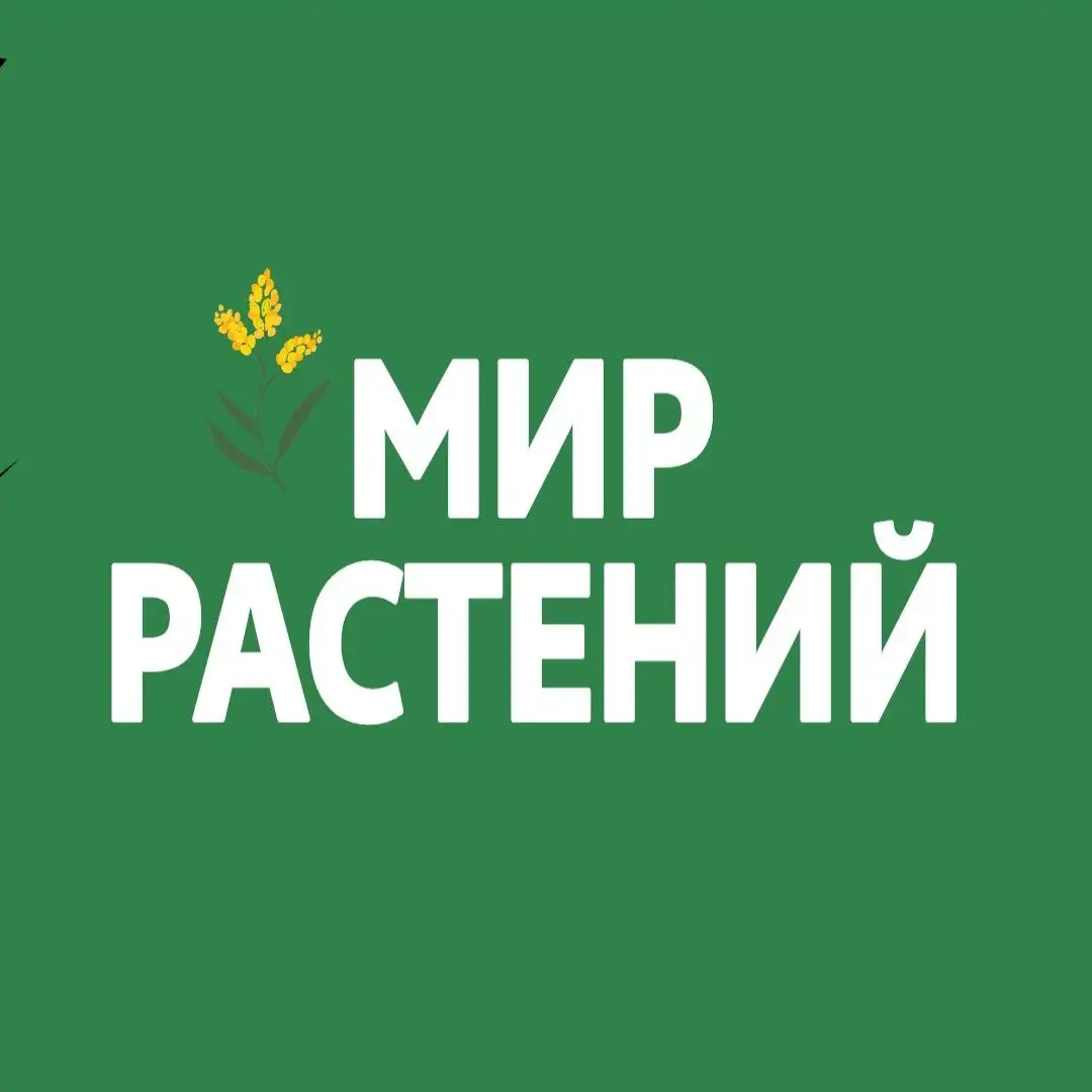 Корм для собак - Корма для животных (Животные) в Чита