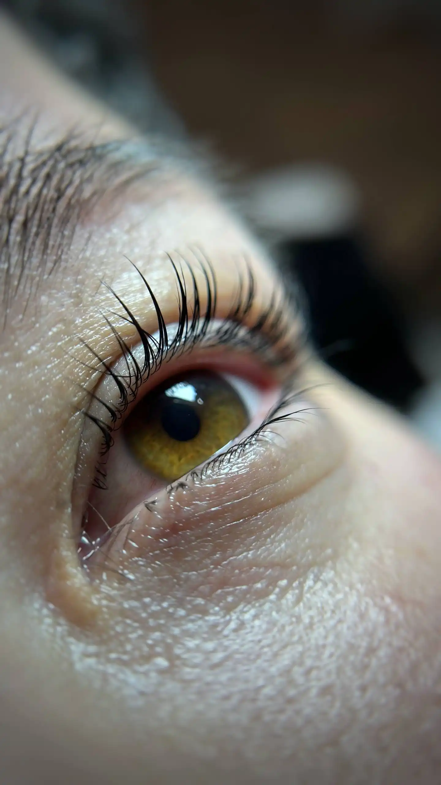 Ламинирование ресниц в THE ART Beauty Studio