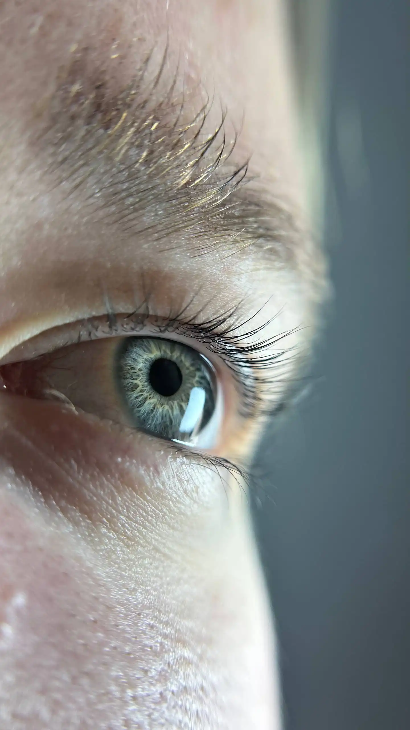 Ламинирование ресниц в THE ART Beauty Studio