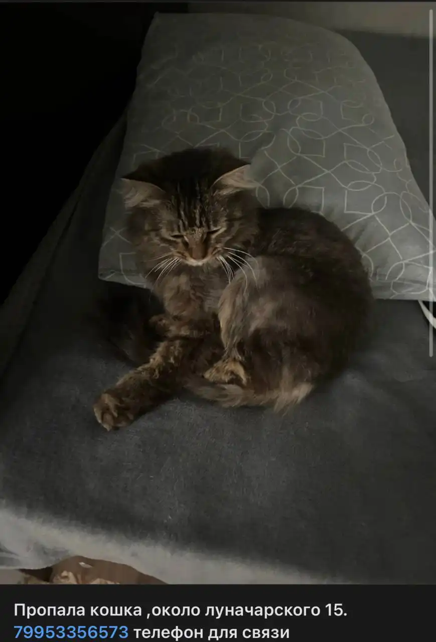 Помощь в поиске