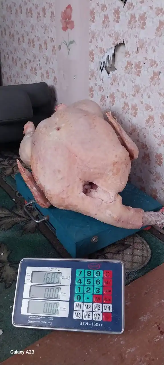 Продажа готовой индейки