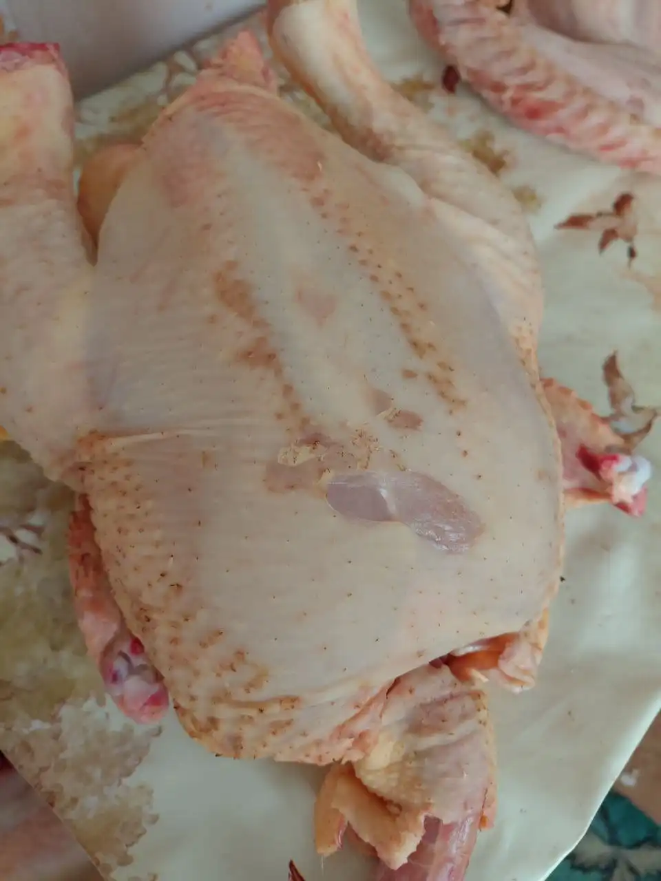 Продажа домашних кур