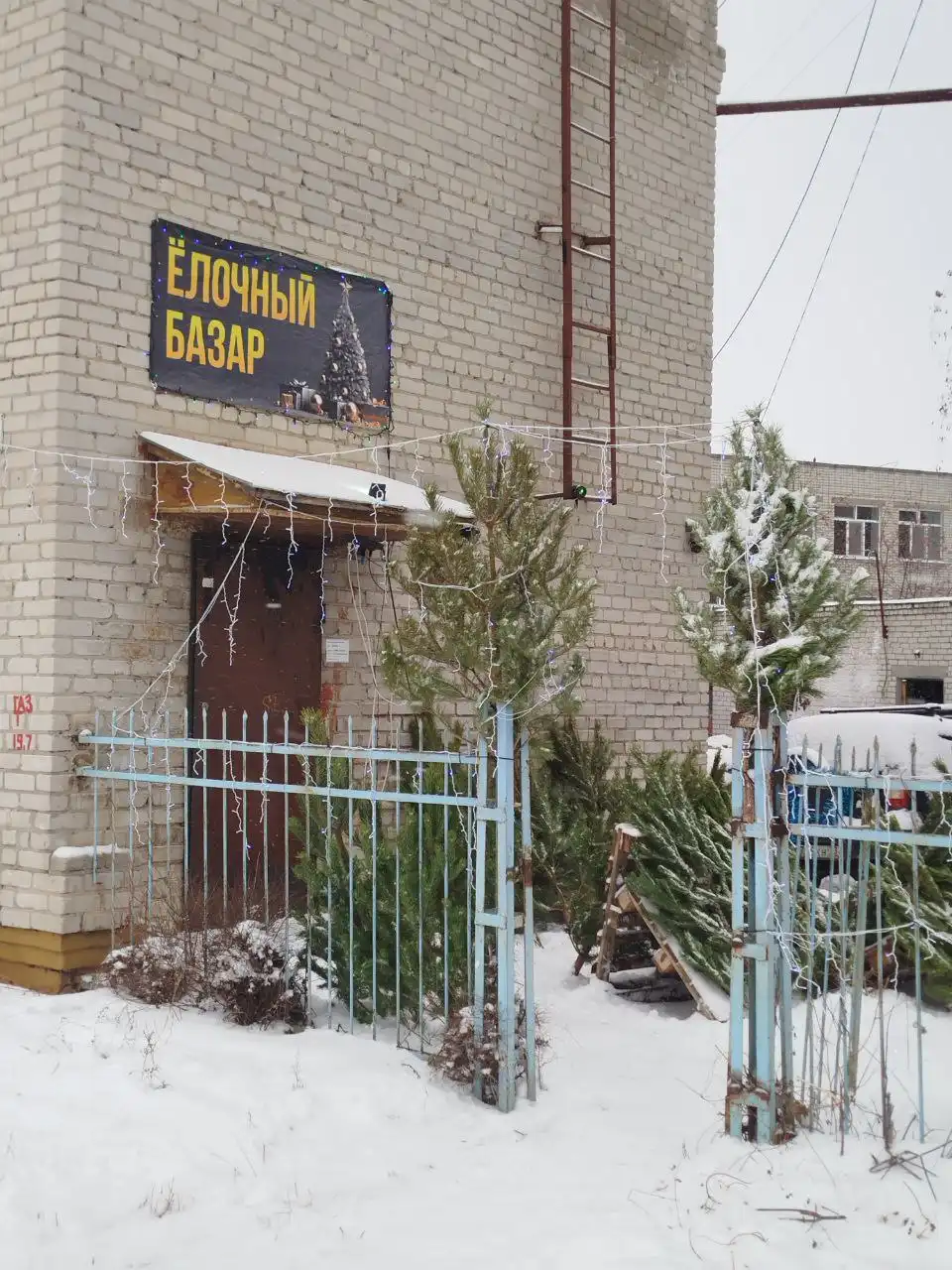 Продажа елок к Новому году