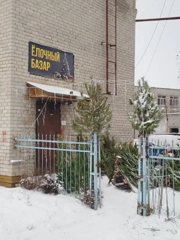 Продажа елок к Новому году - частное объявление в Ульяновск