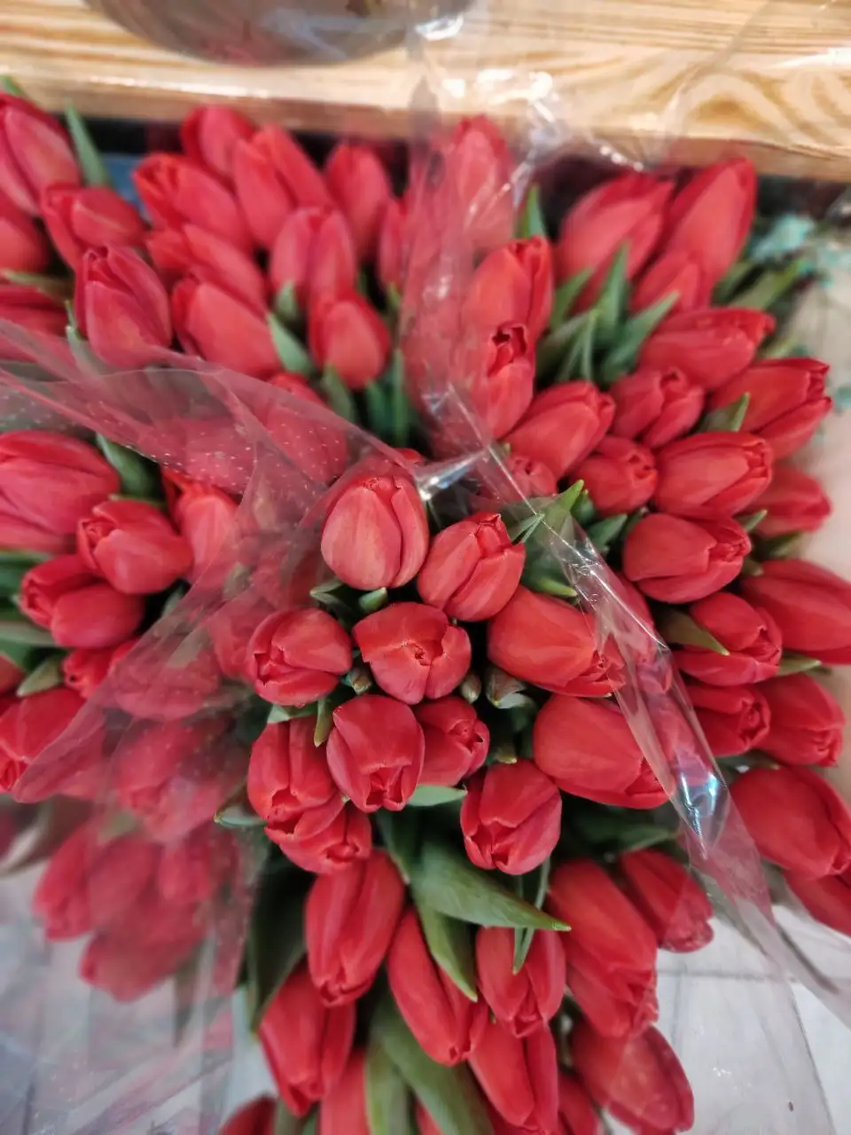 Мимоза и тюльпаны от производителя в Ульяновске - Хобби и отдых в Ульяновск