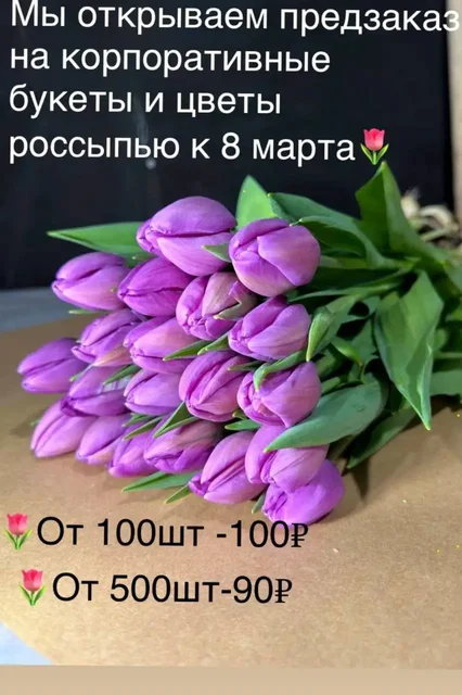 Мимоза и тюльпаны оптом от производителя в Ульяновске - Хобби и отдых в Ульяновск