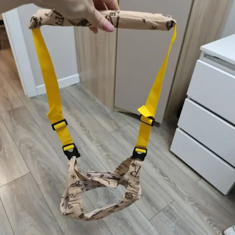 Отдам вожжи за бананы - Разное в Сургут