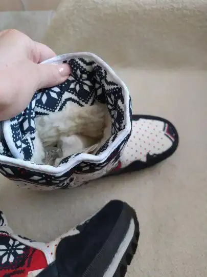 Зимние сапожки из овчины 37 размер - Обувь (Одежда) в Сургут