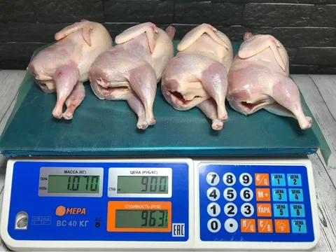 Продажа мяса и яиц перепелов и куриных яиц - Бижутерия в Энгельс