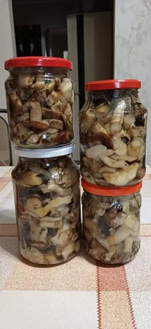 Продажа маринованного песочника в банках 0,5л - Бижутерия в Энгельс