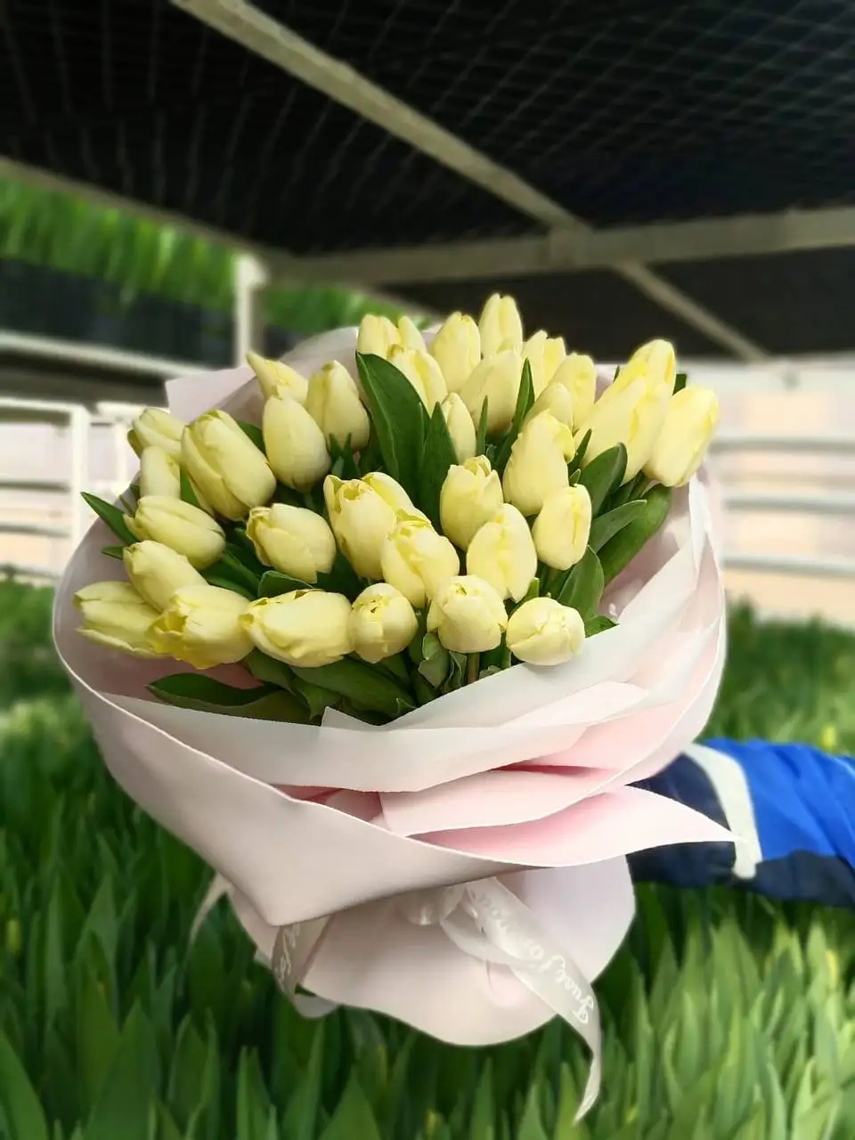 Бронь букетов тюльпанов на 8 марта - Цветы (Хобби и отдых) в Энгельс