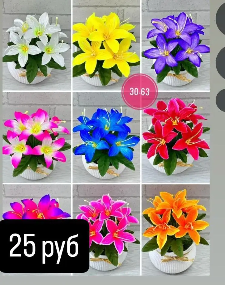 Продажа цветов - Цветы (Барахолка) в Энгельс