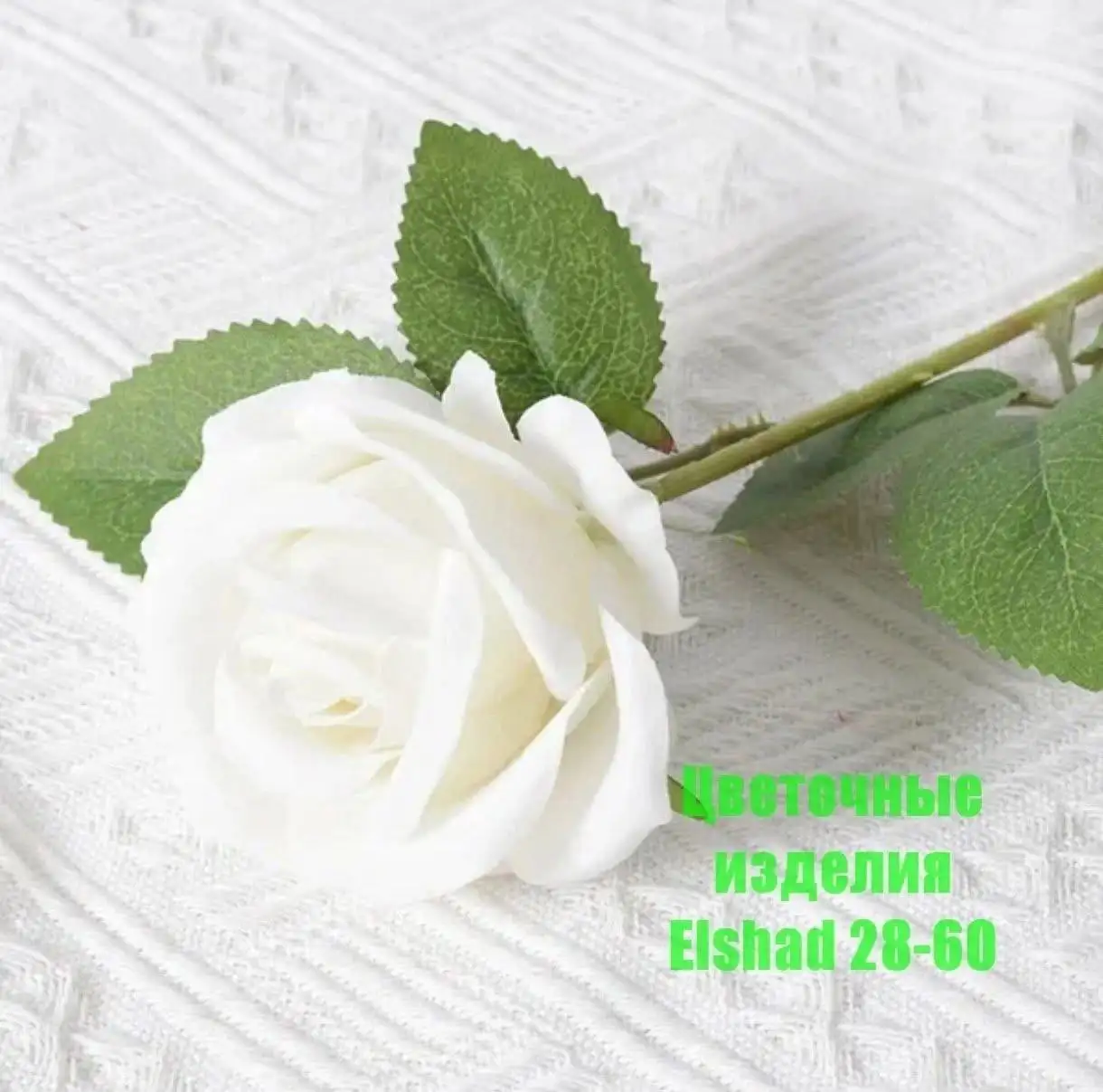 Продажа цветов - Цветы (Барахолка) в Энгельс