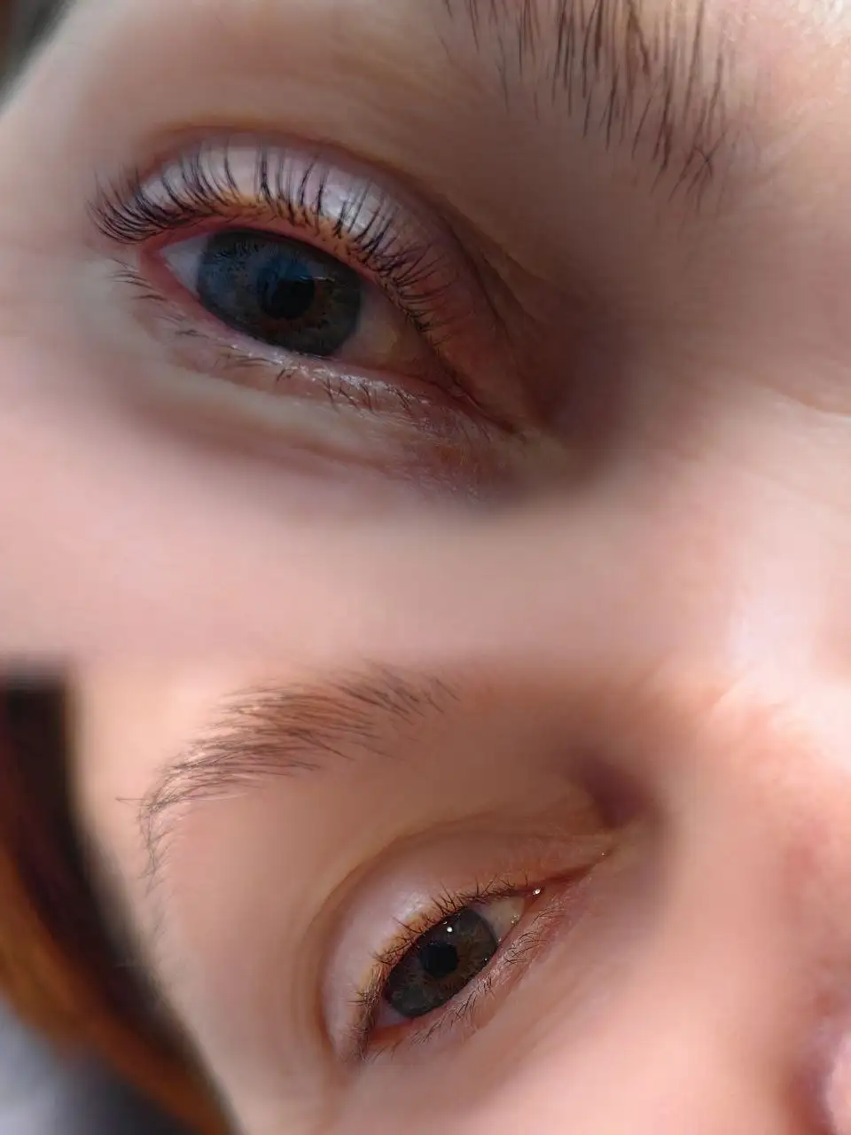 Ламинирование ресниц в Энгельсе - Красота (Услуги) в Энгельс