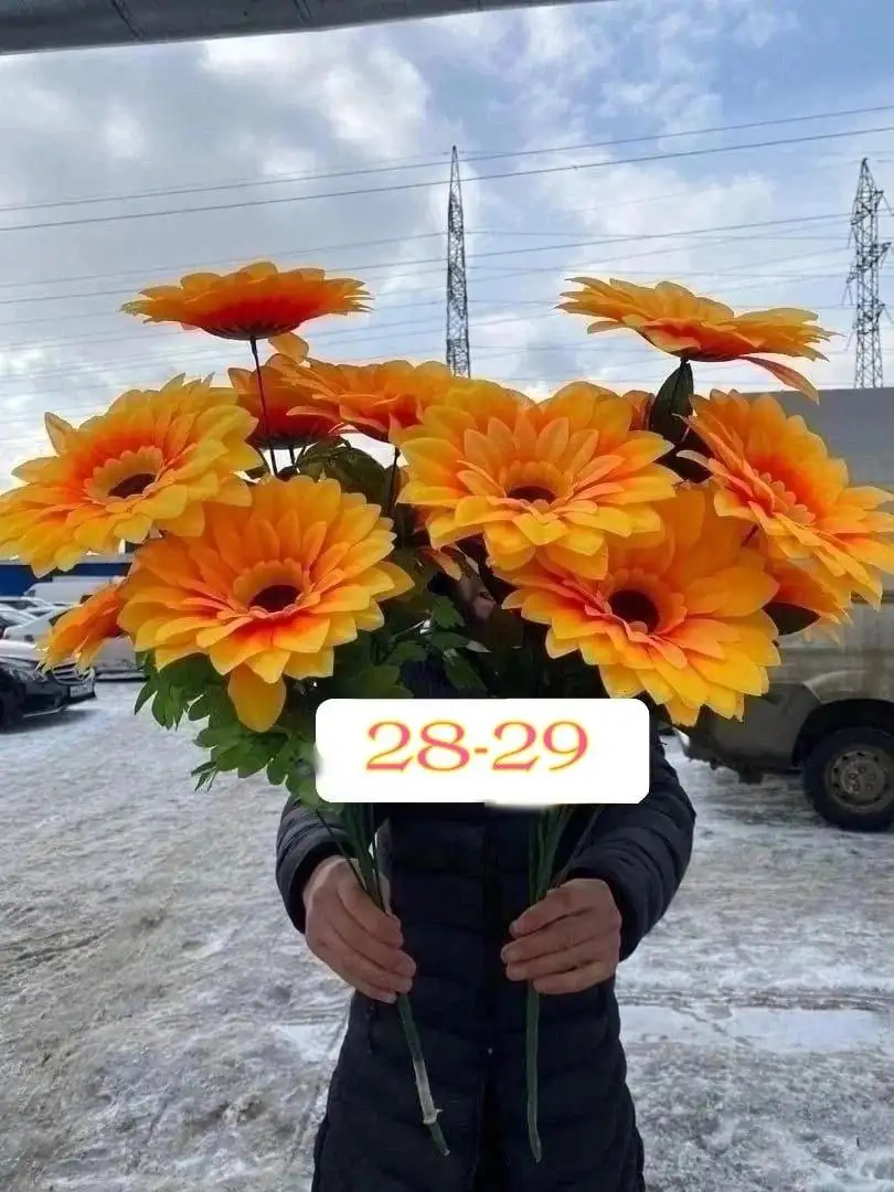 Продажа цветов в Энгельсе - Растения/цветы (Хобби и отдых) в Энгельс