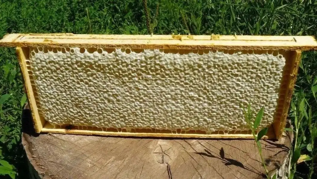 Продажа натурального меда со своей пасеки - Мед (Продукты) в Энгельс
