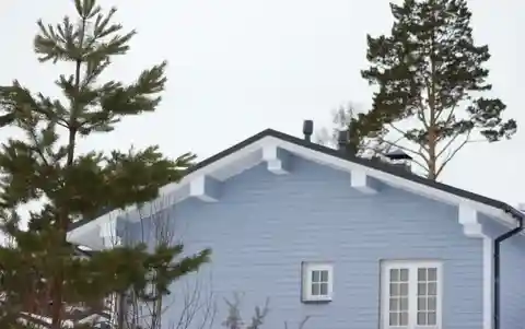 Отношение к деревьям на участке - Недвижимость в Иркутск