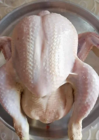 Продажа домашнего бройлера - Животные в Иркутск