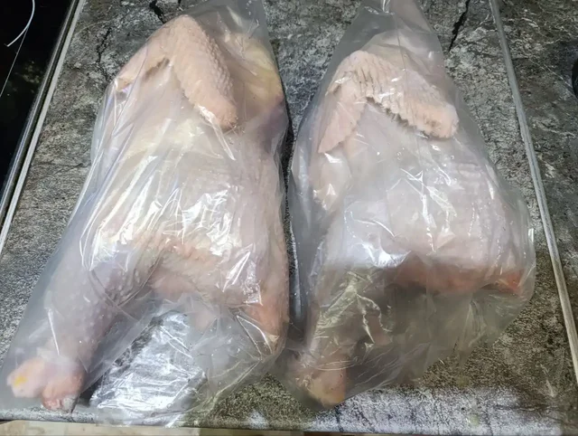 Продажа домашней птицы и яиц - Животные в Жарки