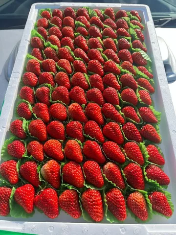 Свежая тепличная клубника в Иркутске с 13 февраля - Эзотерика в Иркутск