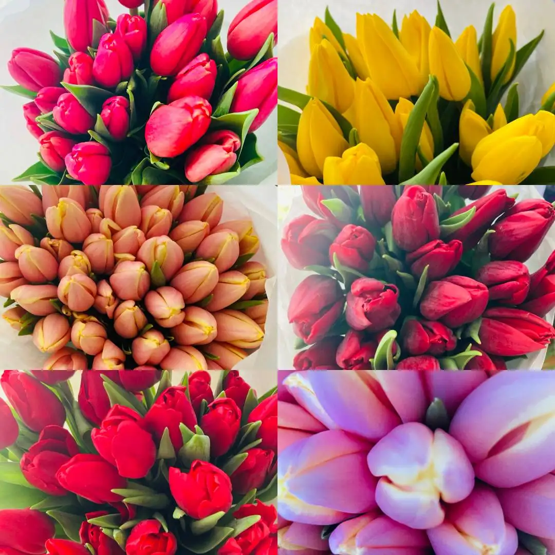 Тюльпаны к 8 марта по прошлогодней цене с доставкой - Цветы (Хобби и отдых) в Иркутск