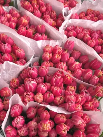 Праздничное предложение в сауне к 8 марта - Аренда жилья в Иркутск