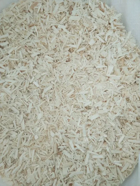 Щепа для террариума из осины - Поиск животных в Иркутск