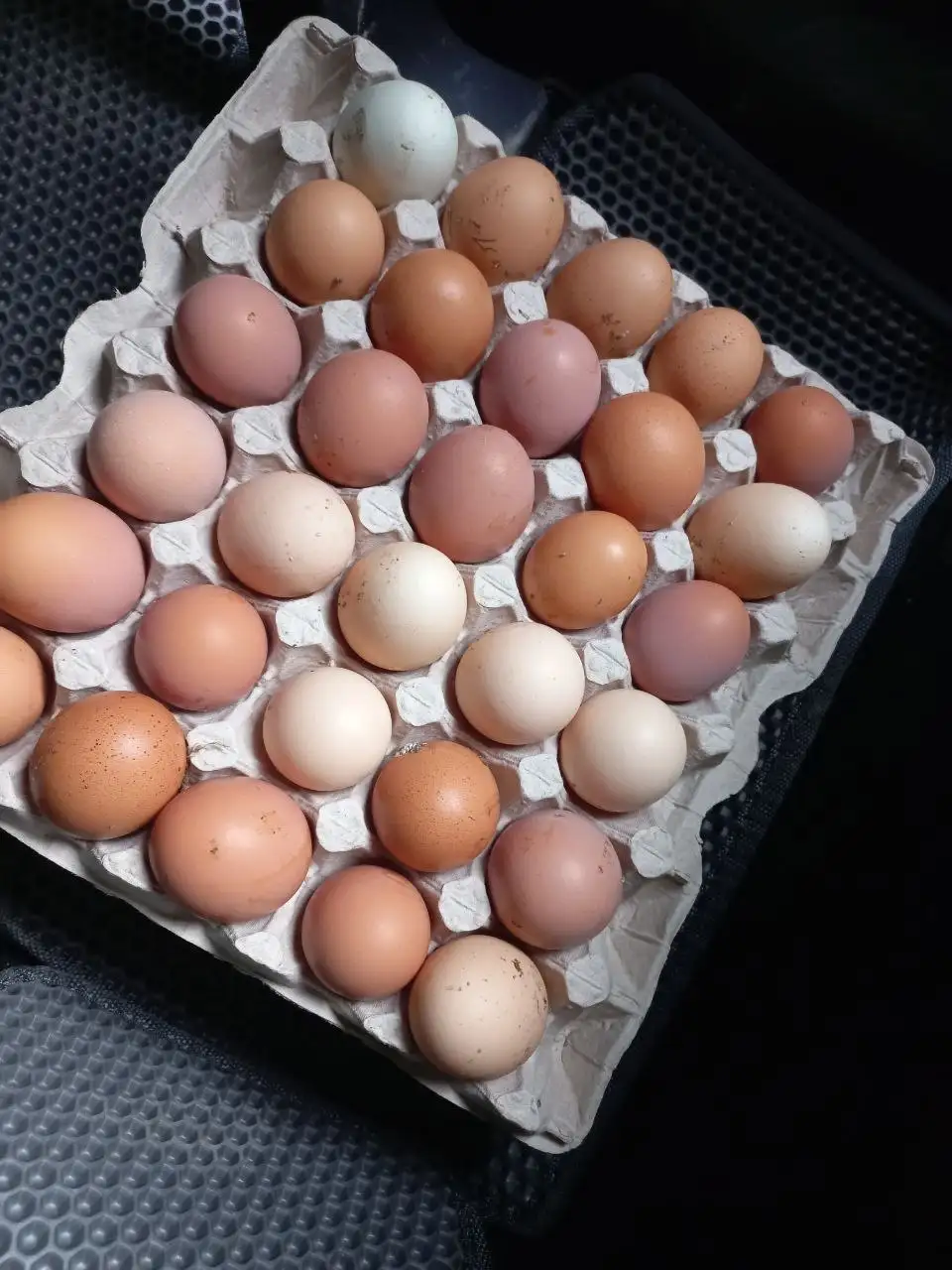 Свежее домашнее куриное яйцо 30 шт - Барахолка в Иркутск