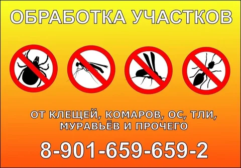 Профессиональная обработка участков от насекомых - Бытовые услуги в Неизвестно