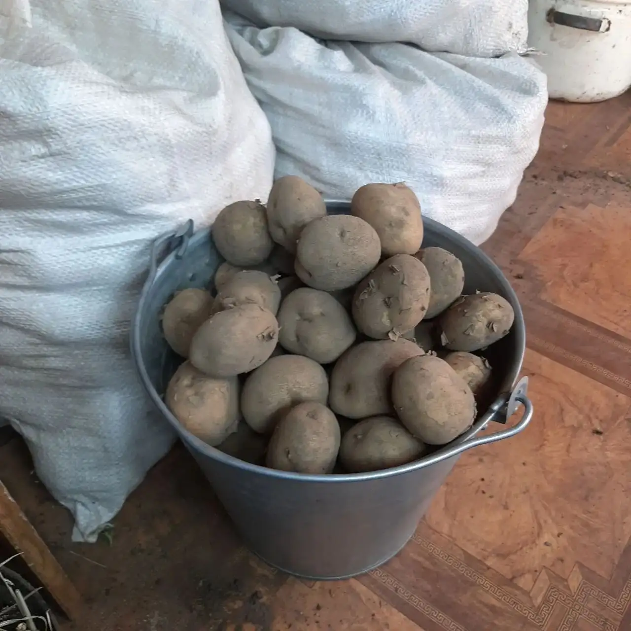 Картофель домашний, мешок 35 кг - Продукты питания (Барахолка) в Иркутск