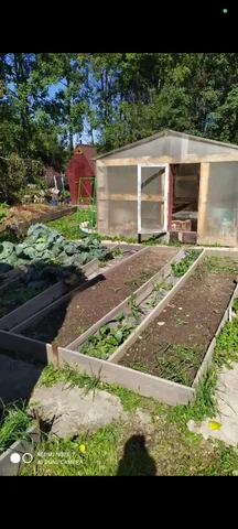 Продажа участка СНТ Хея 6.5 соток - Недвижимость в Иркутск