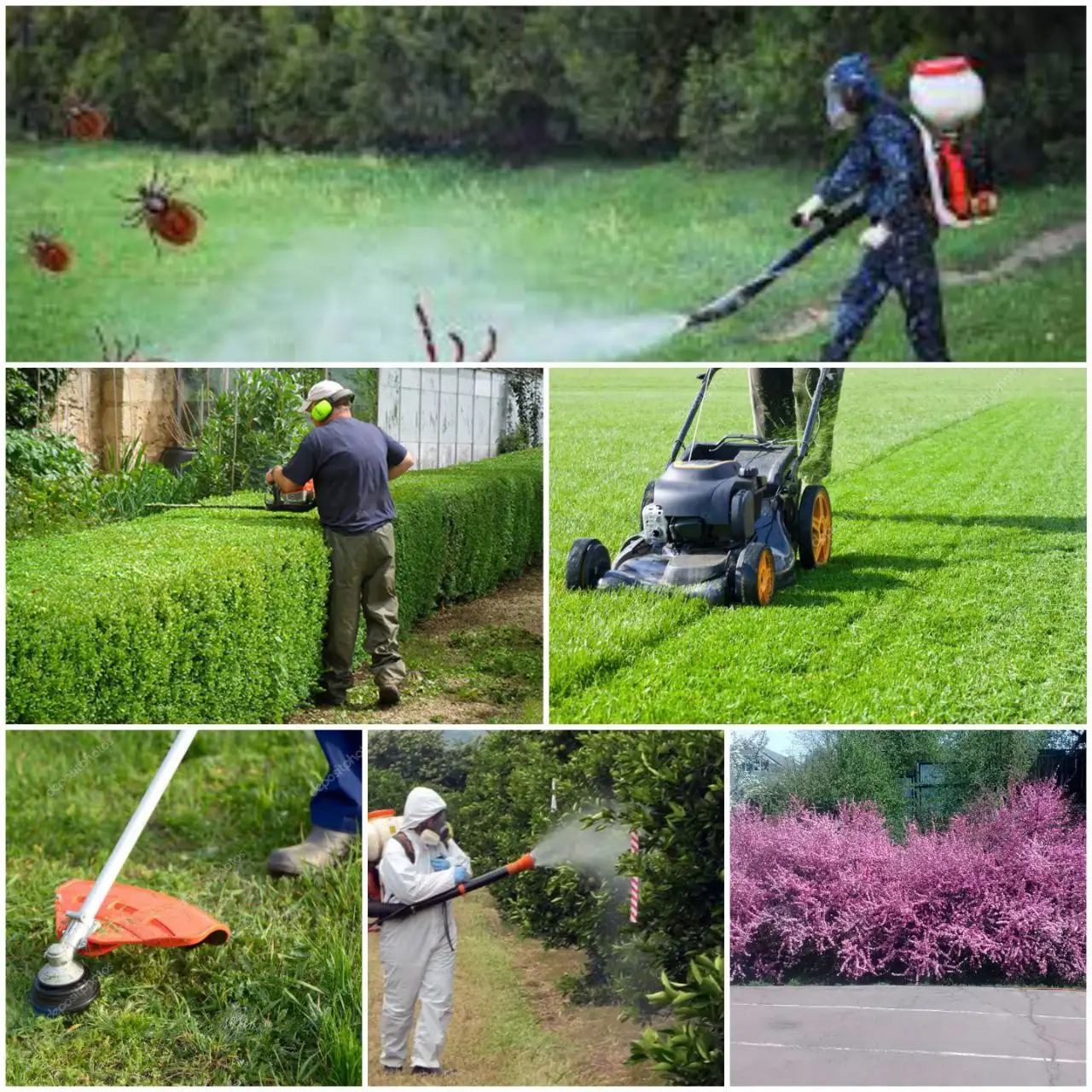 Услуги садовника и обработка участков от вредителей - Садоводство (Услуги) в Иркутск