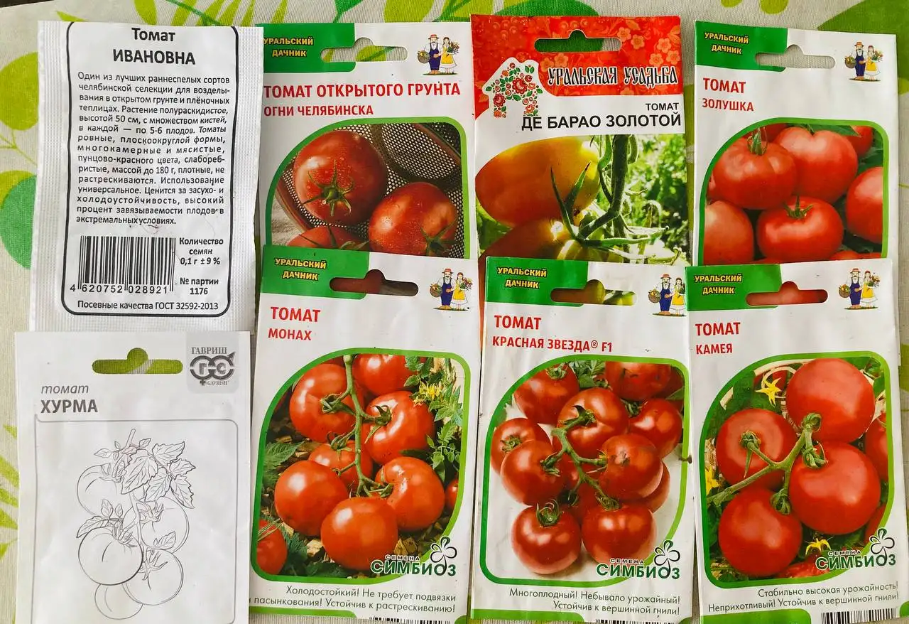 Предварительная запись на домашнюю рассаду - Рассада (Для дома и дачи) в Пивовариха