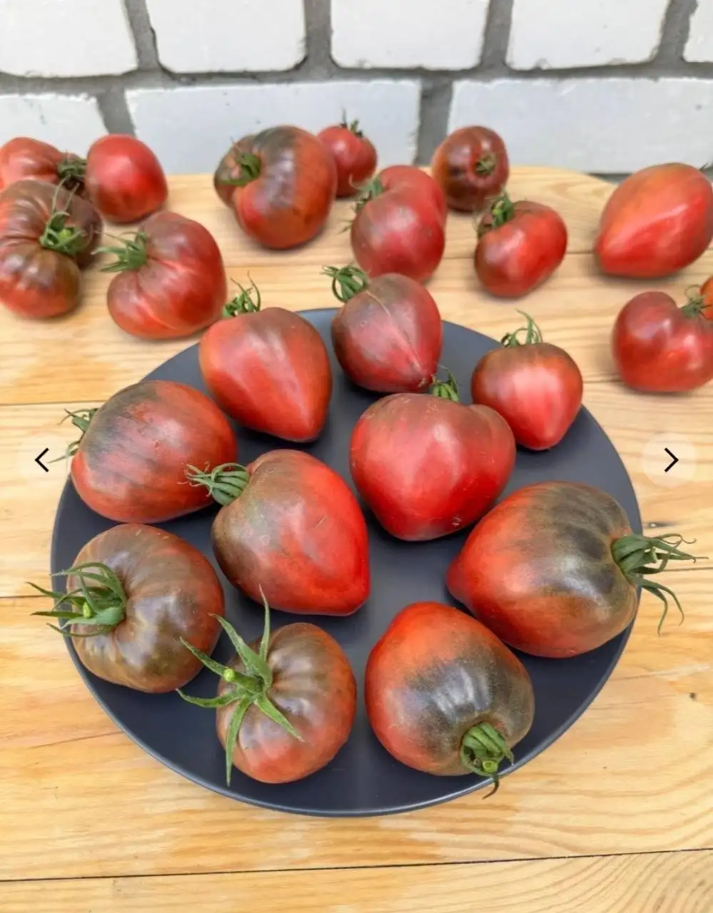 Рассада коллекционных томатов, перцев, баклажанов и петуний - Рассада (Для дома и дачи) в Иркутск