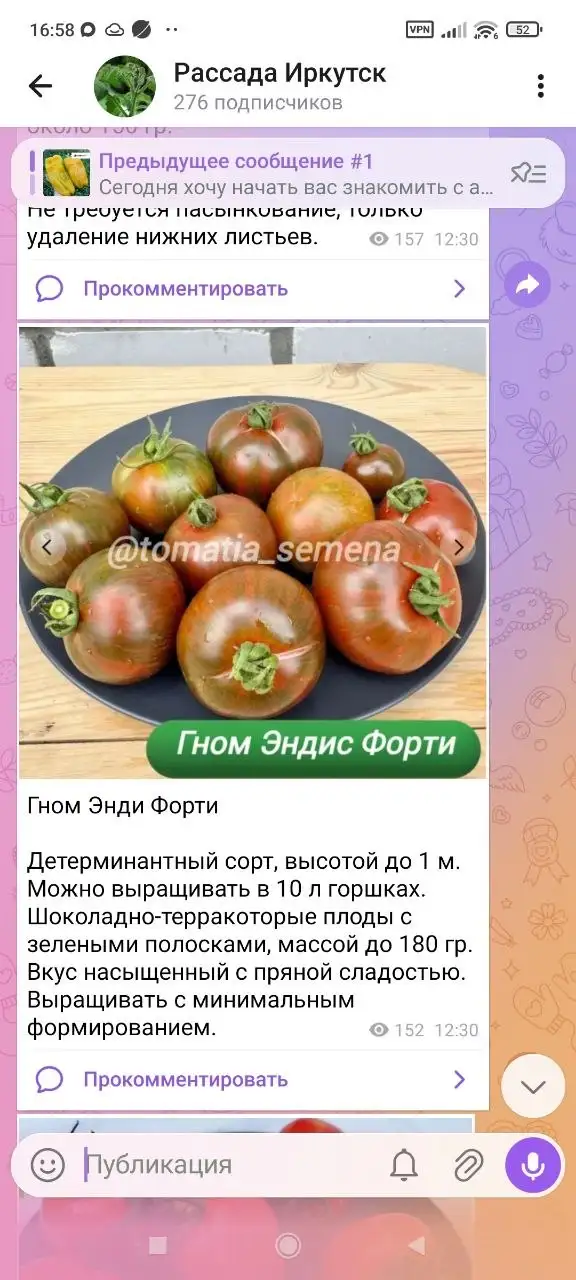 Рассада сортовых коллекционных томатов, перцев, баклажанов и ампельных петуний - Рассада (Для дома и дачи) в Иркутск