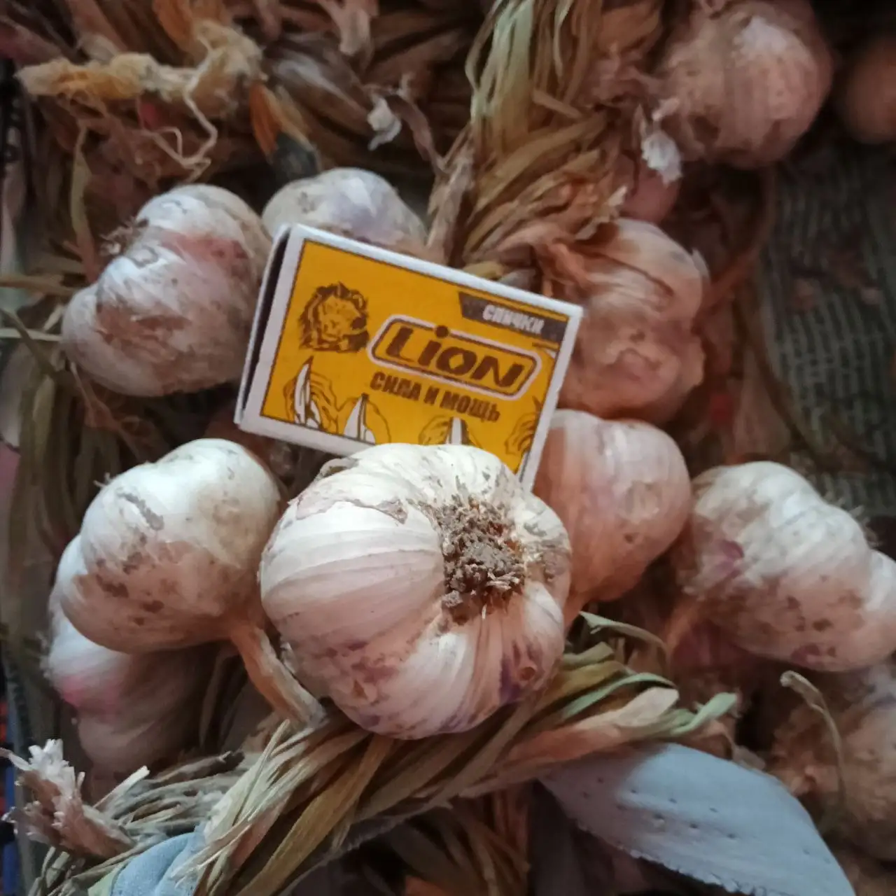Продам яровой чеснок - Растения (Для дома и дачи) в Иркутск