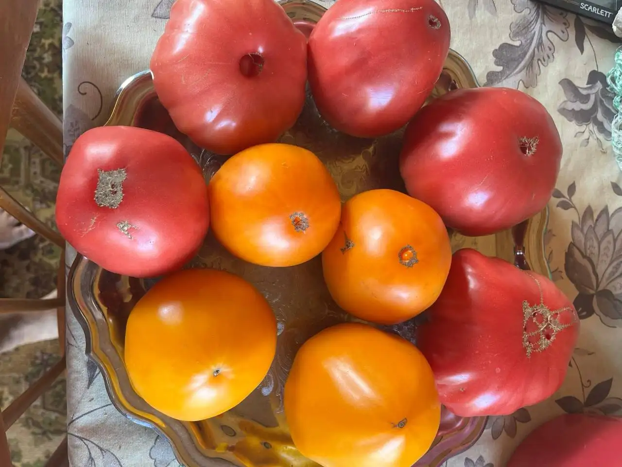 Продажа рассады томатов - Рассада (Для дома и дачи) в Иркутск