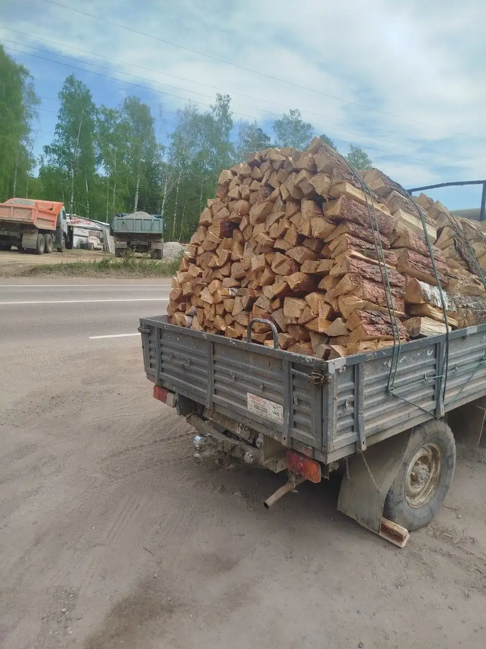 Сосна листвяк - Барахолка в Иркутск