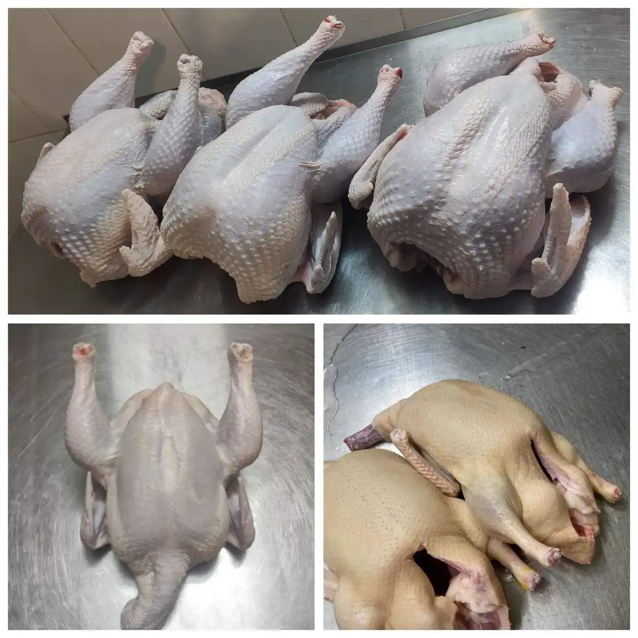 Прайс на мясо домашней птицы и яйца