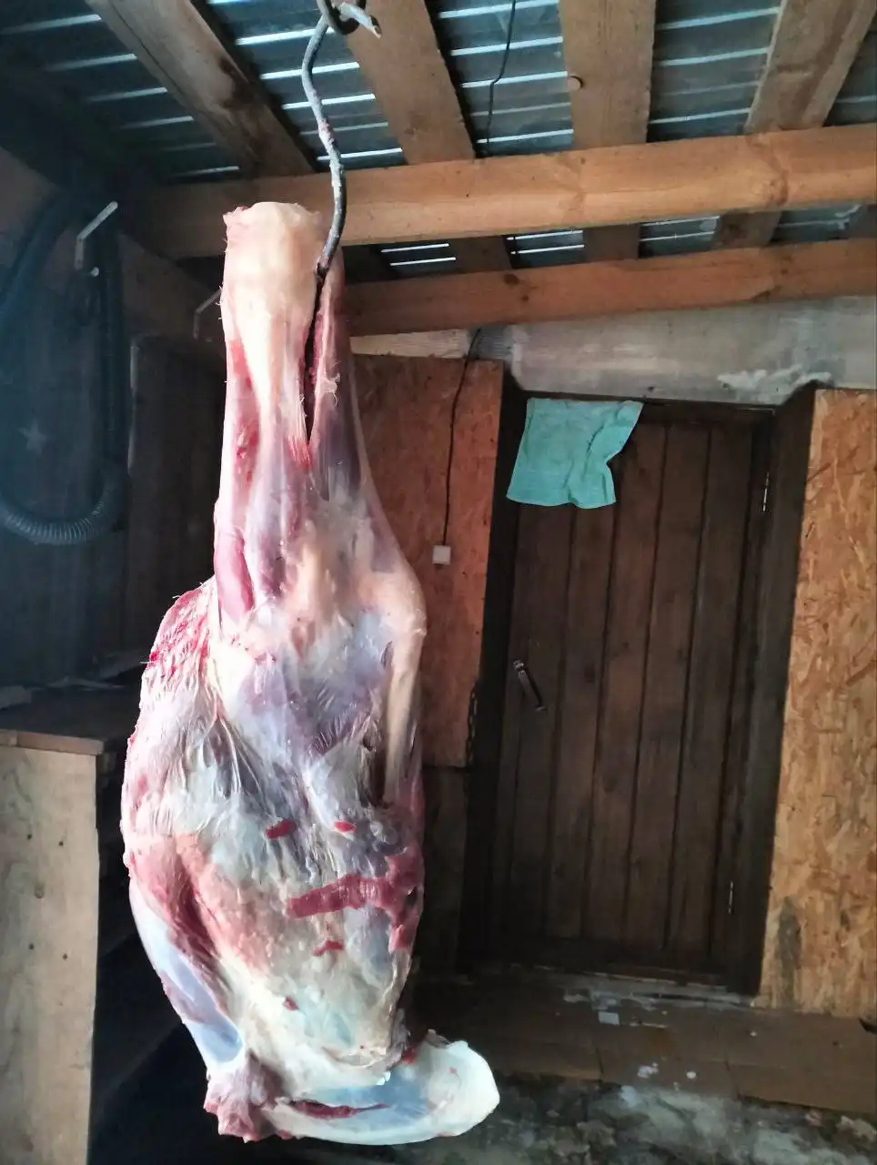 Продажа передней ляжки бычка