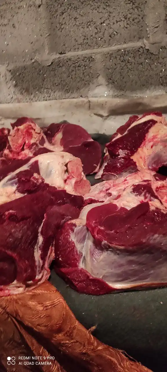 Продажа мяса телки трехгодовалой