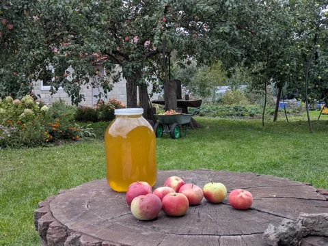 ГОРНЫЙ ЛИПОВЫЙ МЁД, МЕД из РАСТОРОПШИ, АЛТАЙСКИЙ МЁД, ПЫЛЬЦА ПЧЕЛИНАЯ - Электроинструменты в Тюмень