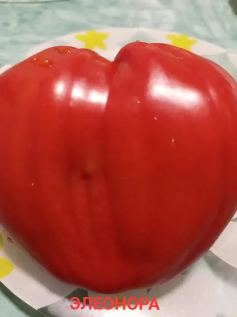 Коллекционные семена томатов - Ручная работа в Тюмень