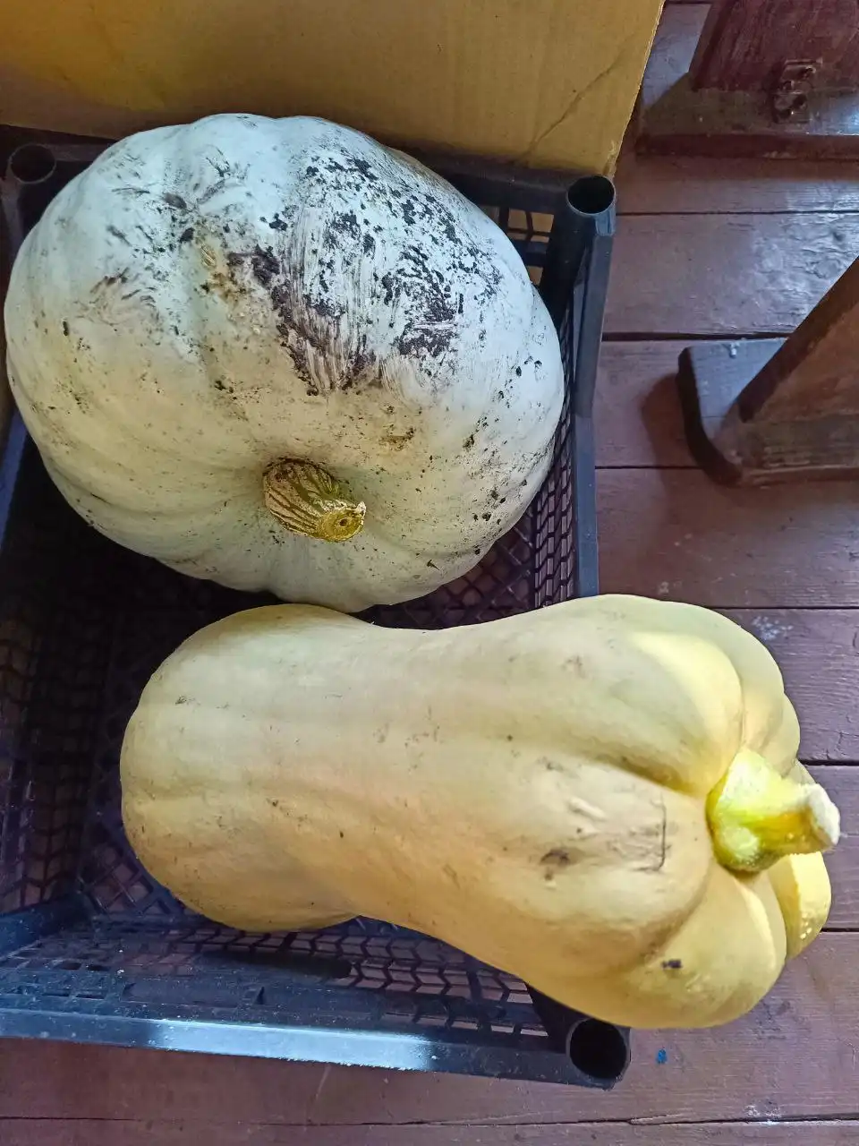 Продажа домашних заготовок и овощей - Продукты (Барахолка) в Тюмень